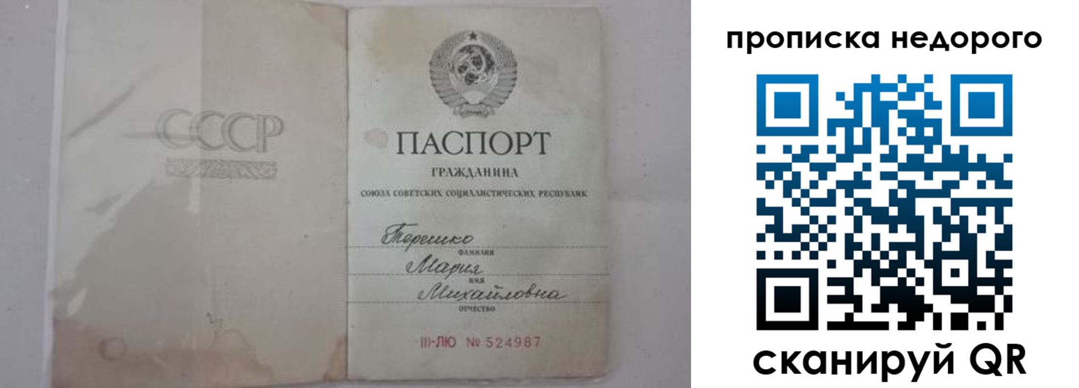 где прописаться в Мордовии